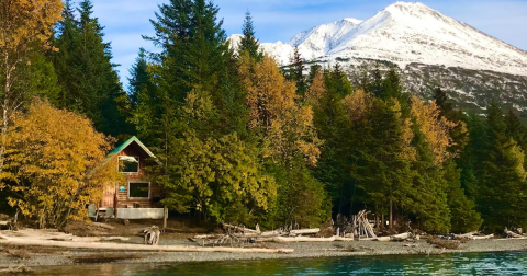 The Magnificent Lakefront Airbnb In Alaska That Is Perfect For A Spring Retreat