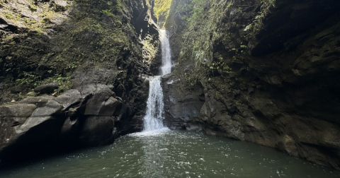 You’ll Fall In Love With The Tiny Waterfall Hiding Along This Breathtaking Hawaii Trail