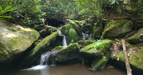 You’ll Fall In Love With The Tiny Waterfall Hiding Along This Breathtaking North Carolina Trail