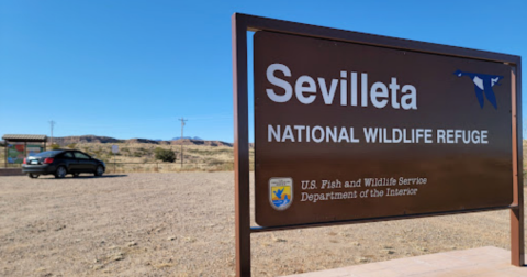 Explore 230,000 Acres Of Trails, Flora, and Fauna At New Mexico's Otherworldly Sevilleta National Wildlife Refuge