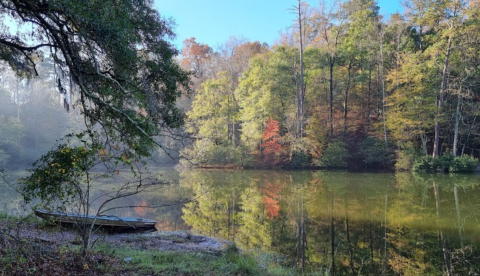 Get Away From It All At This Remote And Beautiful Campground In Alabama