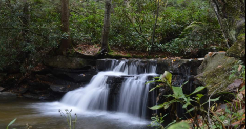 Best Waterfalls in Maryland: 12 Local Favorites & Hidden Gems